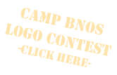 Camp Bnos Logo Contest -Click Here-